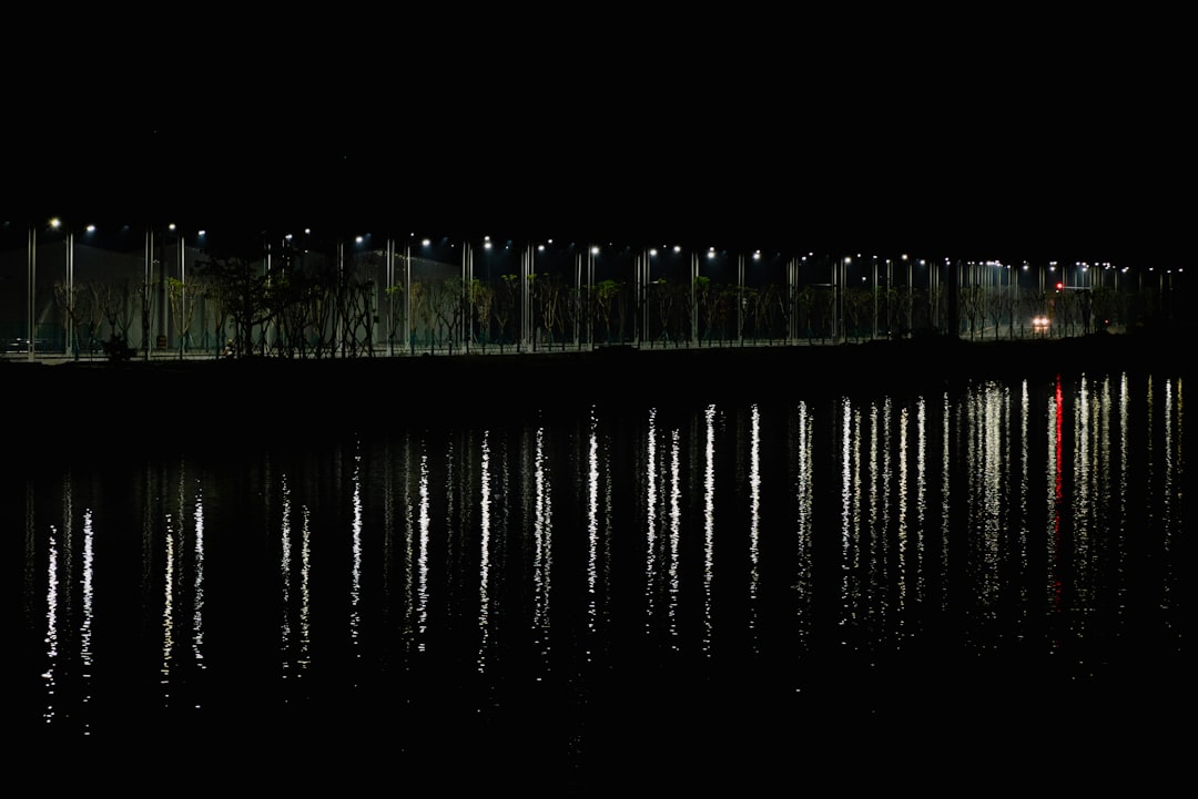 dark still lake reflecting trees