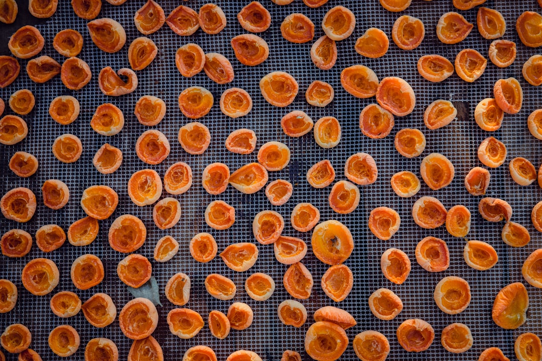 Close-up of a pile of rotten and moldy oranges
