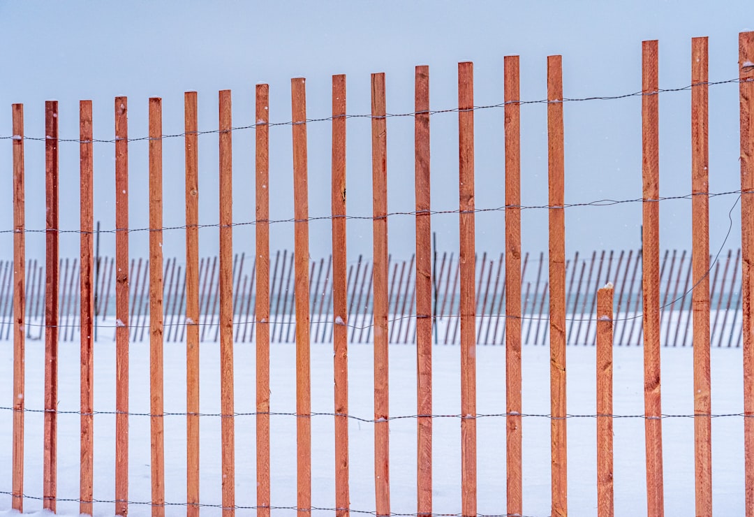 Rows of newly installed high-voltage power lines stretching into the distance under a clear blue sky.